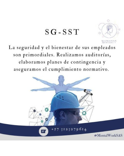 Asesoria en Seguridad y Salud en el Trabajo