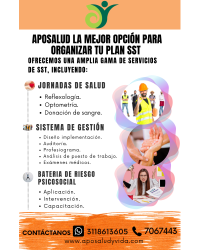 ASESORIA EN SGSST
