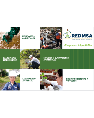 SERVICIOS ESPECIALIZADOS EN INGENIERIA AMBIENTAL Y SANITARIA
