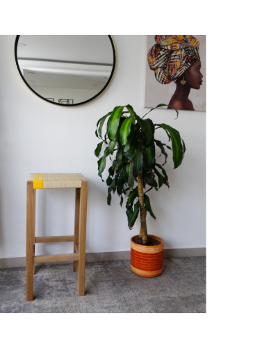 Legno Colombia