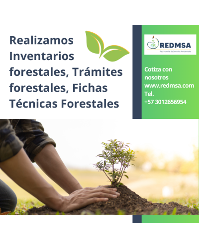 SERVICIOS ESPECIALIZADOS FORESTALES