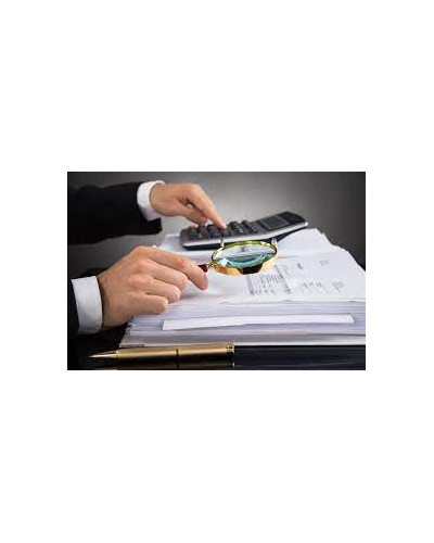 Revisoria Fiscal
