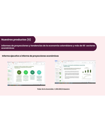 Informe de Proyecciones y Tendencias