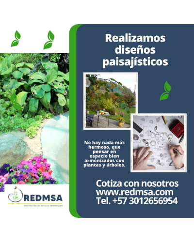 SERVICIOS ESPECIALIZADOS FORESTALES