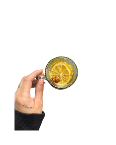 INFUSIONES CON FRUTAS DESHIDRATADOS