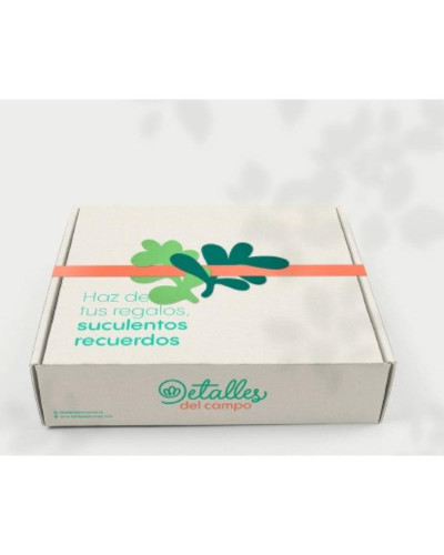 Cajas - Estuches
