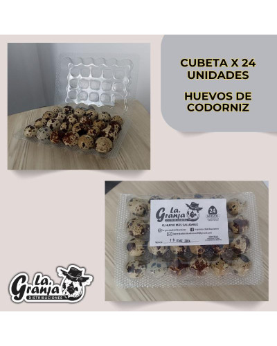 CUBETA X 24 UNIDADES HUEVO DE CODORNIZ
