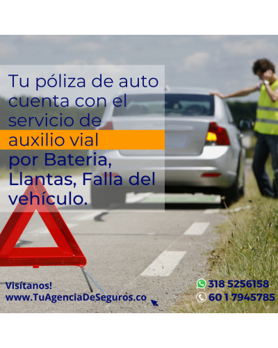 Vehiculos / Camiones (No Soat)