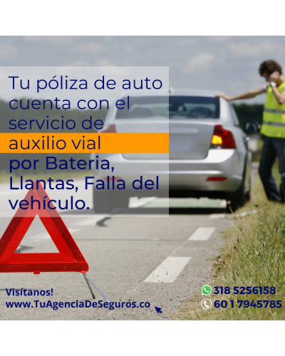 Vehiculos / Camiones (No Soat)