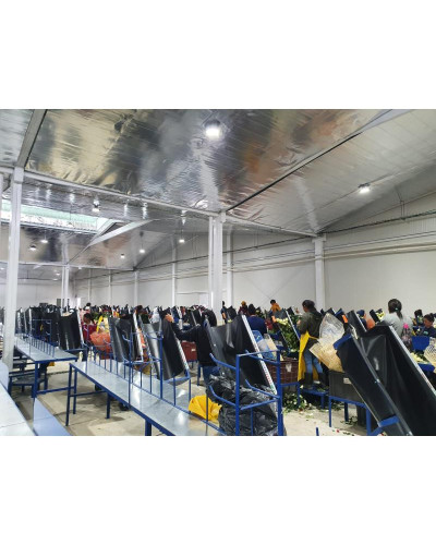 Salas de proceso y salas limpias