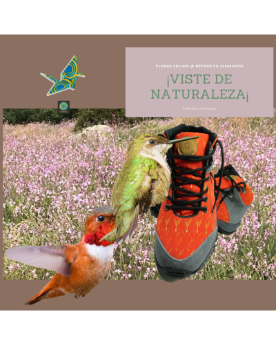 Botas garrita colibri