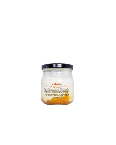 Yogurt griego 160 gramos