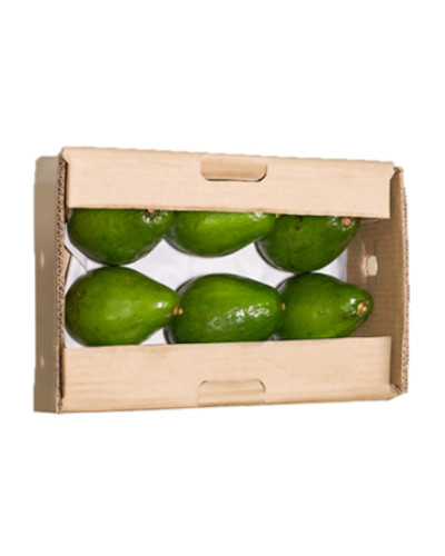 Aguacate Semil