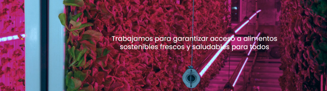 Bandera